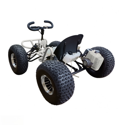 AVRILER WildRide™ - Go Kart Dune Buggy Fuel Version