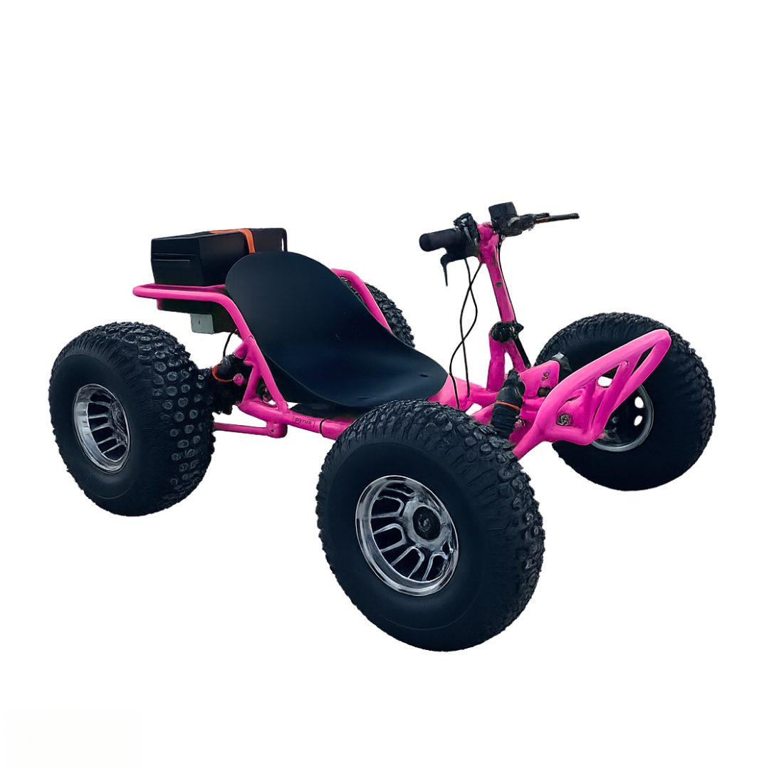 AVRILER WildRide™ - Go Kart Dune Buggy Fuel Version