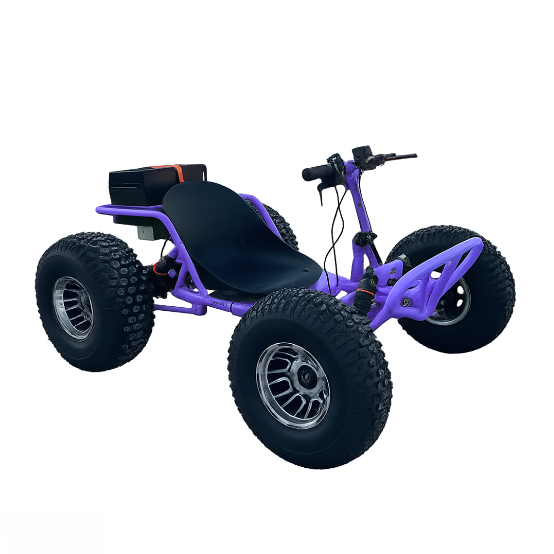AVRILER WildRide™ - Go Kart Dune Buggy Fuel Version
