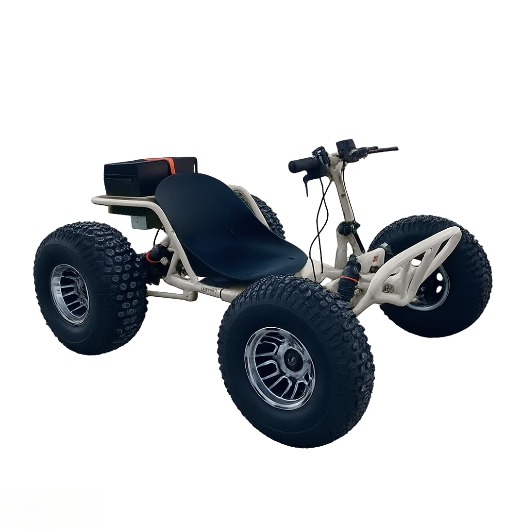 AVRILER WildRide™ - Go Kart Dune Buggy Fuel Version